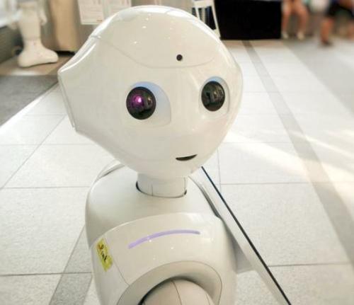 近日,科技部公示了2018年度国家重点研发计划"智能机器人"重点专项
