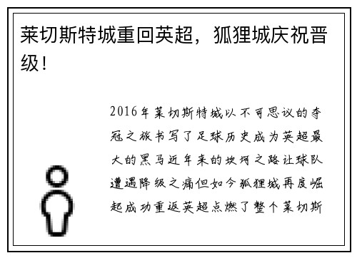 莱切斯特城重回英超，狐狸城庆祝晋级！